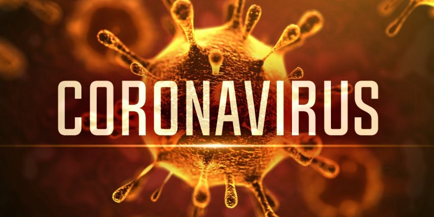 Coronavirus'ün Etkileri Hızla Artıyor