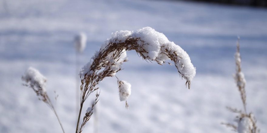 Meteoroloji’den Kuvvetli Rüzgâr ve Çığ Uyarısı