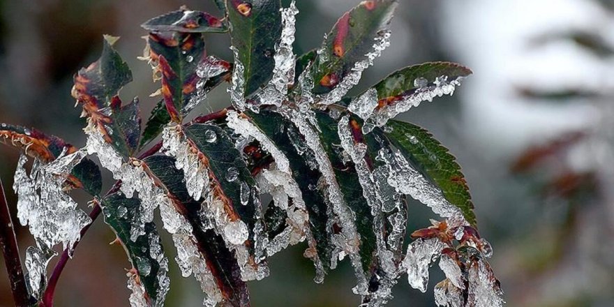 'Kars ve Bölge'de Soğuk Hava Etkili Oluyor