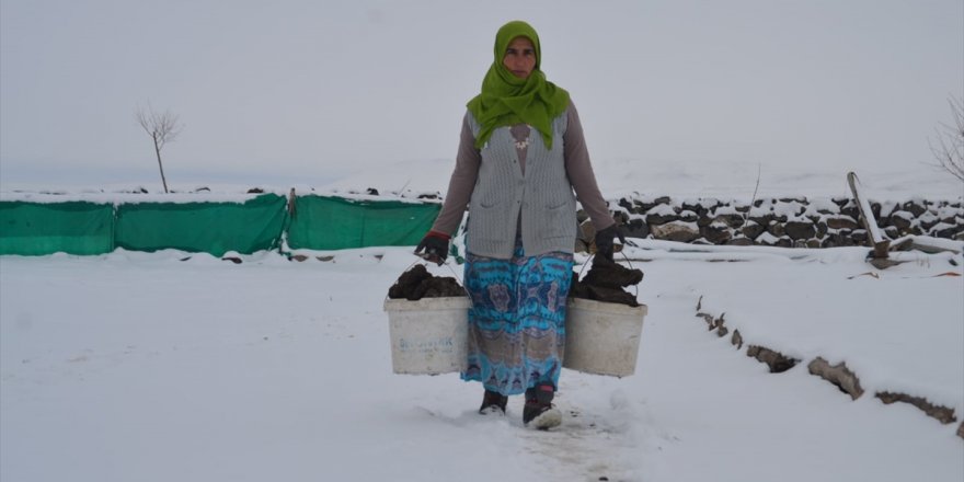 ‘Kars ve Bölge’de Kar Yağışı Etkili Oluyor