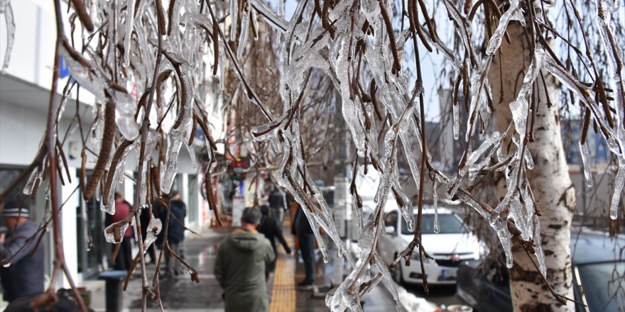 Kars'ta Ağaçların Dalları Buz Tuttu