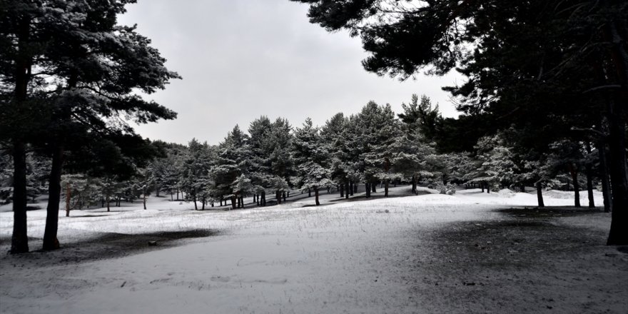 Kars ve Sarıkamış'ta Kar Manzaraları