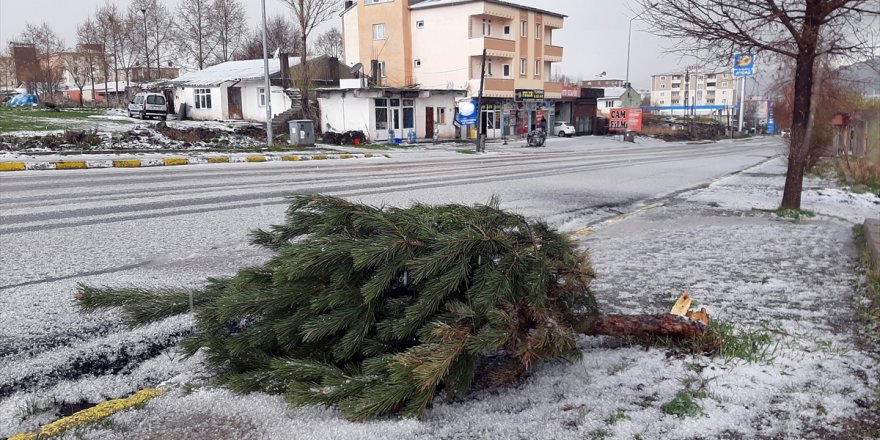 Ardahan'da Dolu Etkili Oldu