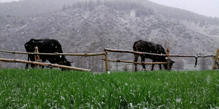 Bölgenin Yüksek Kesimlerine Kar Yağdı