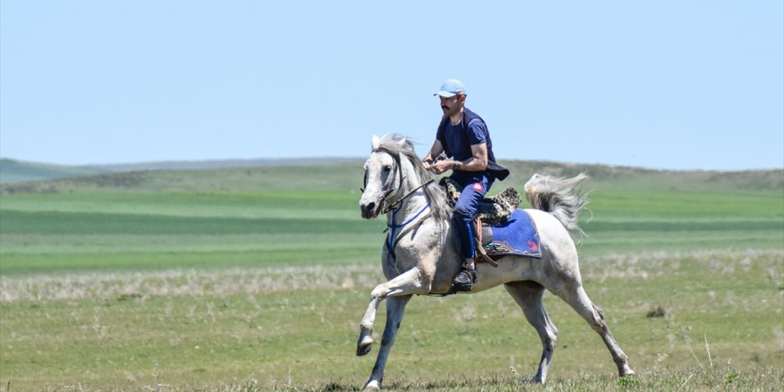 Kars'ta 'Cirit' Heyecanı Yeniden Başladı