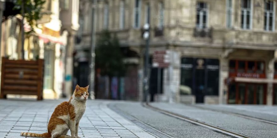 Sınav | 6 Saatlik Sokağa Çıkma Kısıtlaması