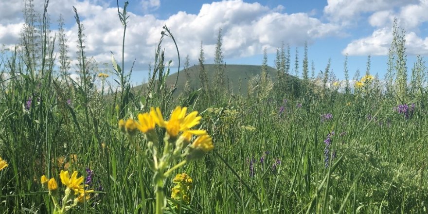 Kars’ta Kartpostallık Görüntüler