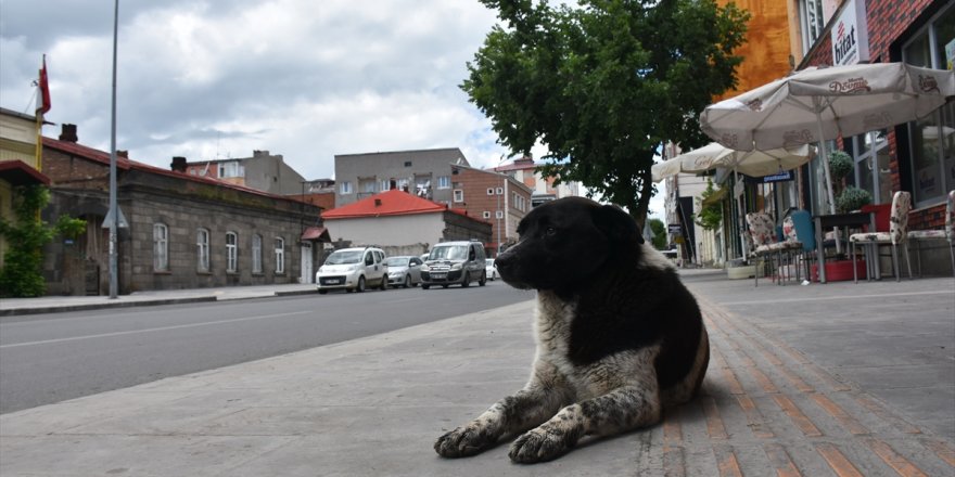 Kars'ta Sokağa Çıkma Kısıtlaması