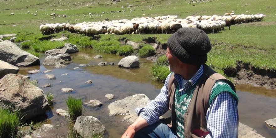 Taşköprü'nün 'Yayla Sorunu' Çözüm Bekliyor