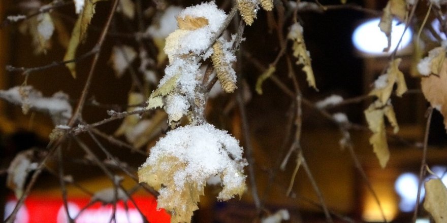 Erzurum’da Kar Yağışı Etkili Oluyor