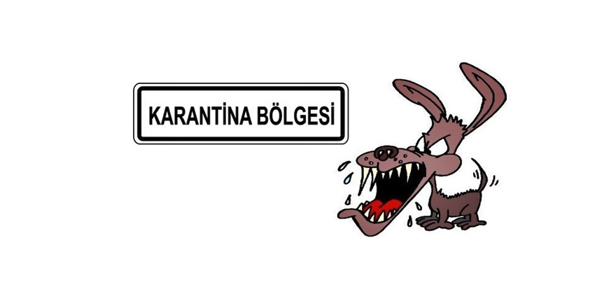 Kars'ta Kuduz Alarmı.. Digor'un Dağpınar Beldesi Karantinaya Alındı!