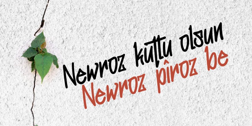 Diyarbakır’da Coşkulu Newroz... Kutlamalar Sona Erdi