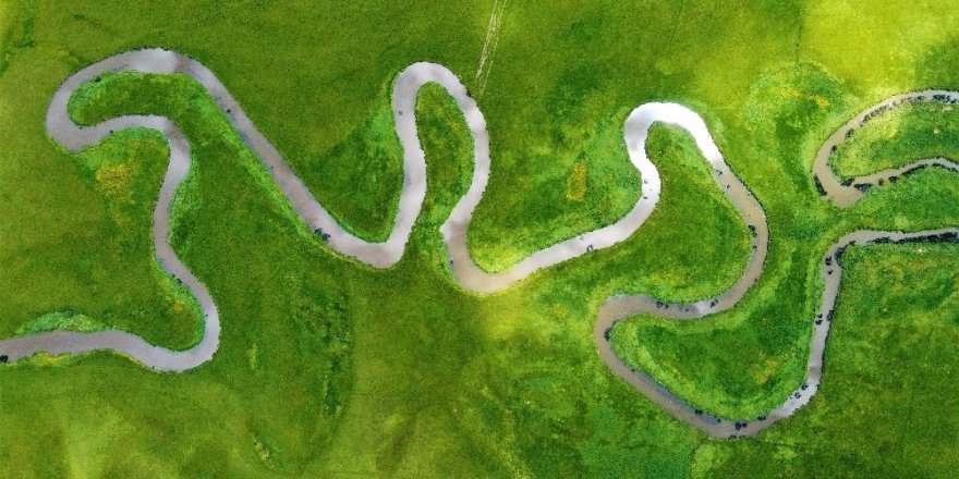 Kura Nehri'ne Düşen Kişi Kayboldu