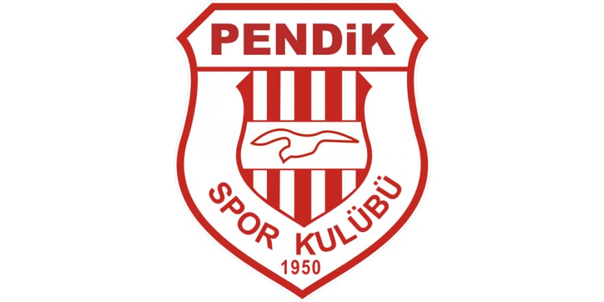 Pendikspor, Süper Lig'e Yükseldi