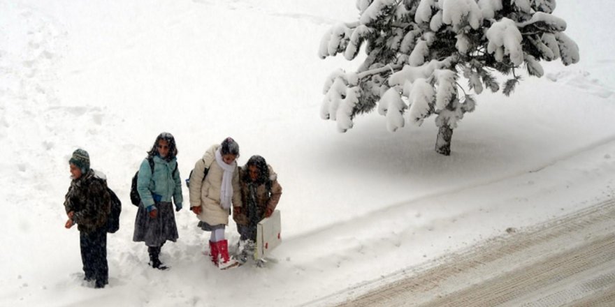 Bingöl, Hakkari, Şırnak ve Van'da Okullar Tatil Edildi