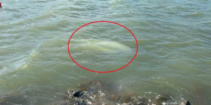 Karadeniz’de Fırtına: Samsun’da 3 Tekne Battı