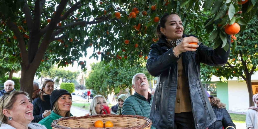 Antalya’nın Turunçları Korkuteli’nden Sofralara Uzanıyor