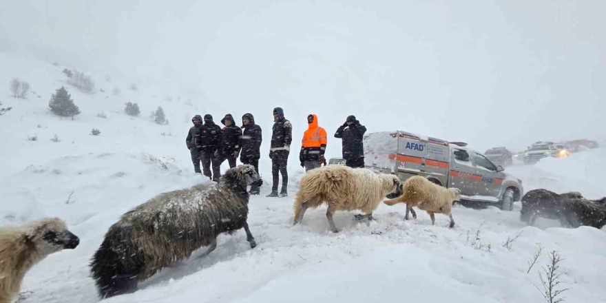 Artvin’deki Çığ Faciası.. Cansız Bedenine Ulaşılan Çobanının Kimliği Belli Oldu!