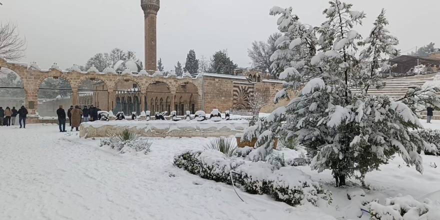 Balıklıgöl’e Sürpriz Ziyaretçi