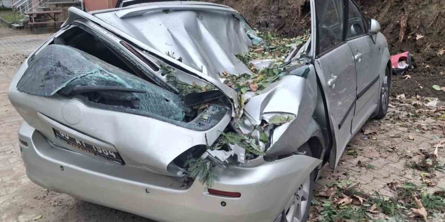 Giresun’da Devrilen Ağaç Bir Aracı Kullanılamaz Hale Getirdi
