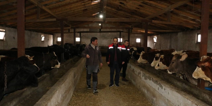 Erzincan’da Manda Yetiştiriciliği İçin Araştırmalar Sürüyor