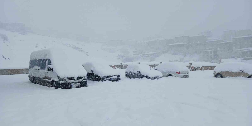 Kulp’ta 10 Yılın En Yoğun Kar Yağışı: Araçlar Kar Altında Kaldı