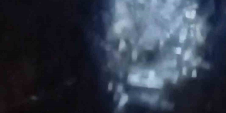 Muş’ta Nehir Kıyısında Su Samurları Görüntülendi