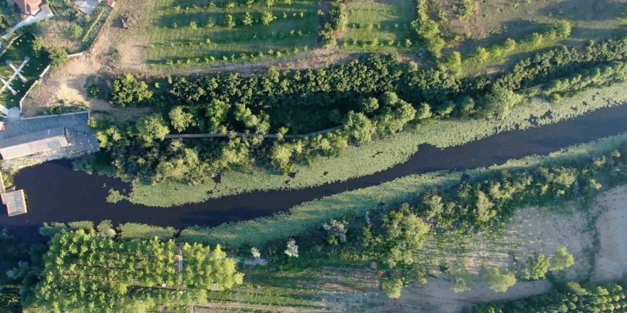 Doğanın Kalbi Sakarya’da Attı: İ̇ki Yeşil Noktaya 605 Bin Ziyaretçi