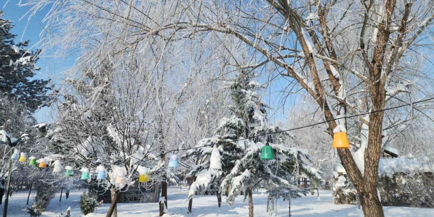 Elazığ’da Dondurucu Soğuklar: Karakoçan’da Termometreler -22’yi Gösterdi