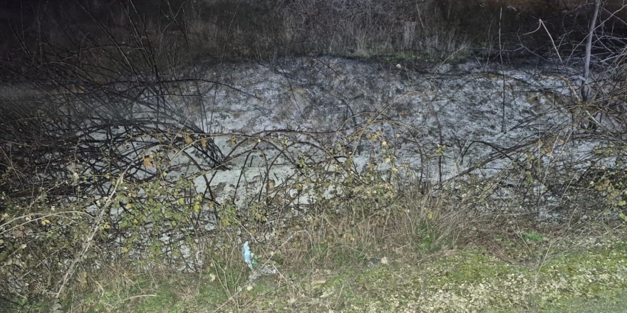 Küçük Çaplı Ot Yangını Erken Müdahaleyle Söndürüldü