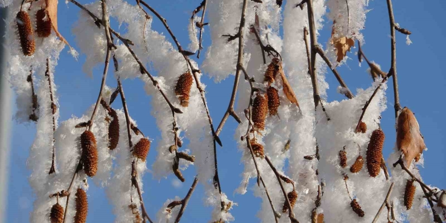 Ardahan’da Sibirya Soğukları Devam Ediyor