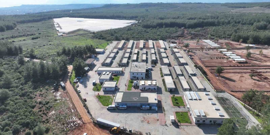 Sokak Hayvanları Geçici Bakımevi Can Dostlara Yeni Yuva Yolu Oluyor