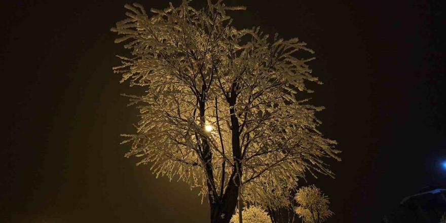 Elazığ’da Ağaçlar Kırağı Tuttu