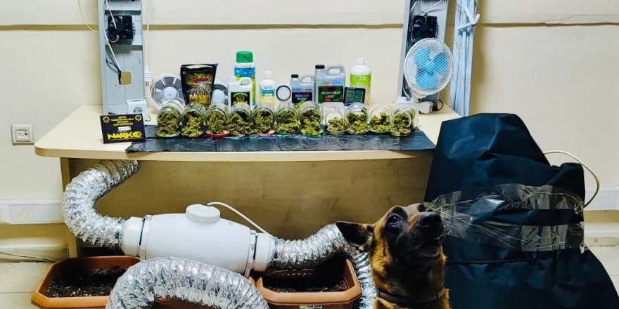 Artvin’de Uyuşturucu Madde Ve Yetiştirme Düzeneği Ele Geçirildi