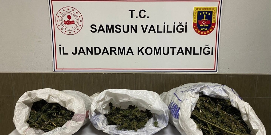 Çarşamba’da Uyuşturucu Operasyonunda 1 Gözaltı