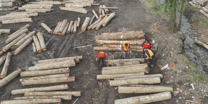 Düzce’den 23 Bin 391,39 Ton Orman Ürünü İhraç Edildi