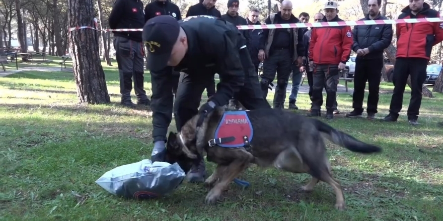 Jandarmadan Nefes Kesen Tatbikat: ‘mercek’ İz Sürdü, Kayıp 3 Dakikada Bulundu