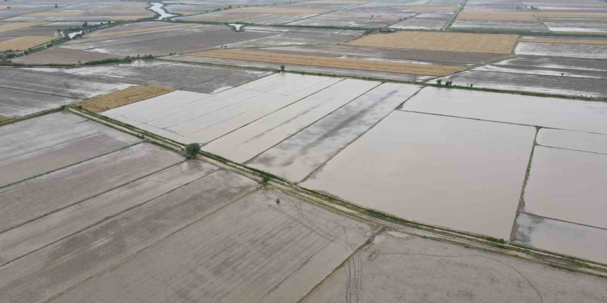 Söke’nin 2026 Yılı Ürün Deseni Belli Oldu