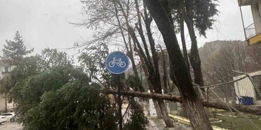 Dursunbey’de Fırtına Ağaçları Ve Çatıları Uçurdu