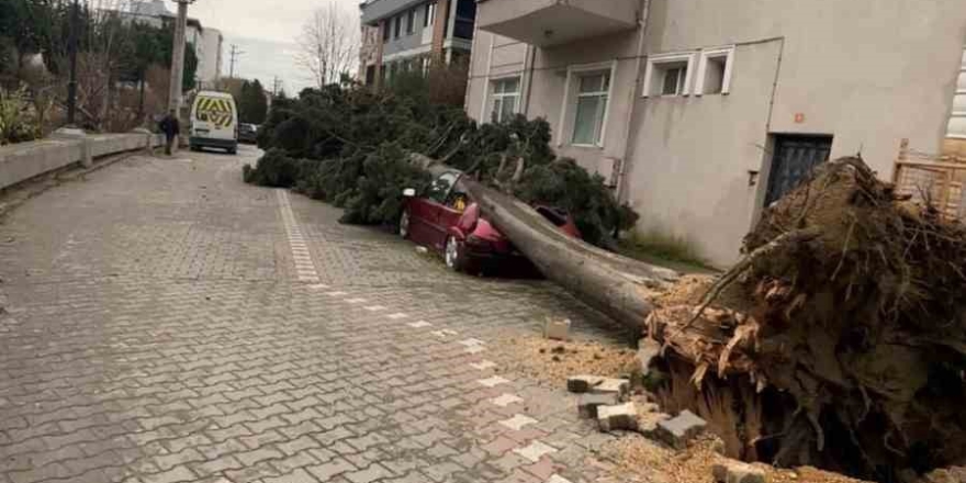 Yalova’da Fırtına Hayatı Olumsuz Etkiliyor