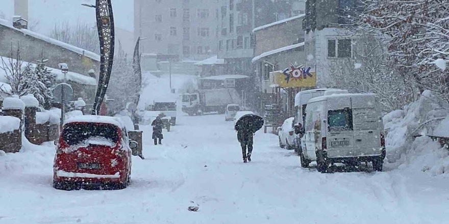 Karlıova’da Kar Yağışı Başladı