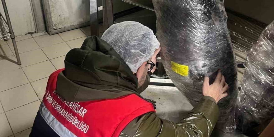 Gıda Üretim Ve Satışı Yapan İşletmelerine Yönelik Denetim