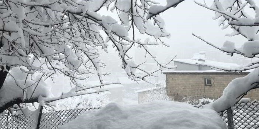 Hakkari‘de 353 Yerleşim Yeri Kapandı
