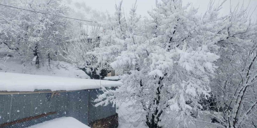 Kars Kalesi'nde Kar Eğlencesi.. Dondurucu Soğukta Kızak Keyfi!