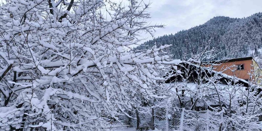 Artvin'de Kar Yağışı Ulaşımı Aksattı.. 34 Köy Yolu Kapandı!