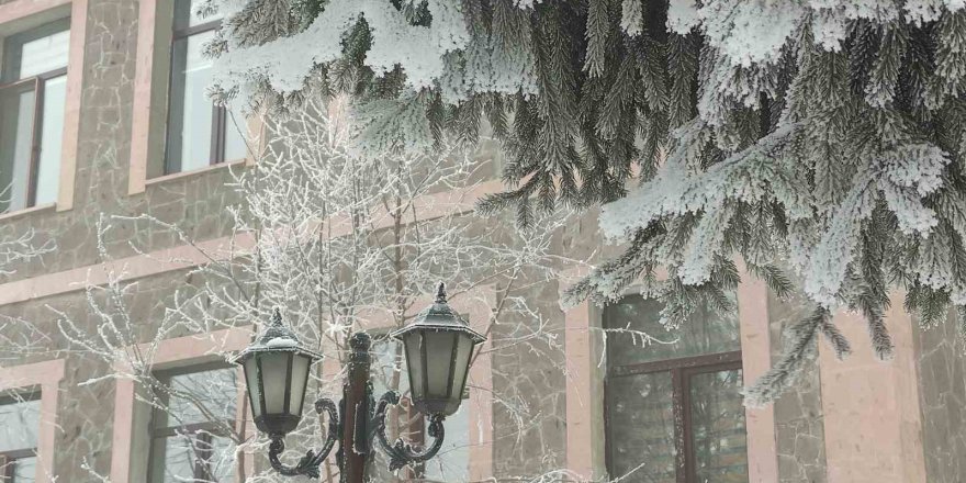 Soğuk Hava Hayatı Felç Etti.. Ardahan'da Sıcaklık eksi 25'e Düştü!