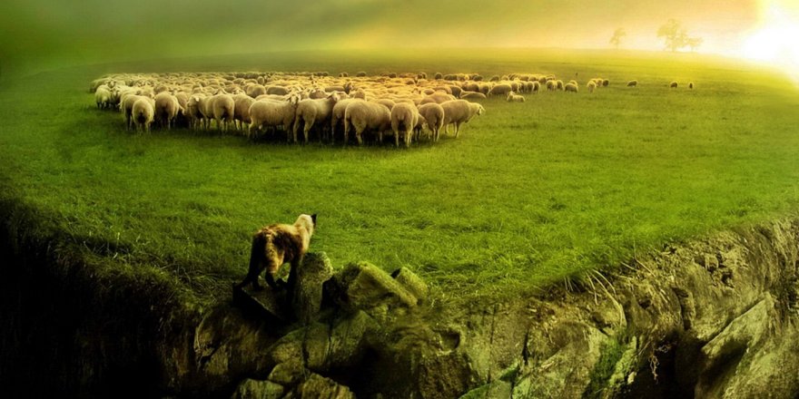 Susuz'da Muhtarlara Bilgilendirme.. Mera Kanunu ve Kırsal Yatırım Anlatıldı!