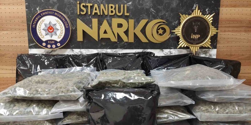 İstanbul’da Uyuşturucu Operasyonu: 22 Kilo 450 Gram Skunk Ele Geçirildi