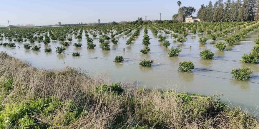 Seyhan Barajı’ndan Su Tahliyesi Sürüyor: Tarlalar Su Altında Kaldı