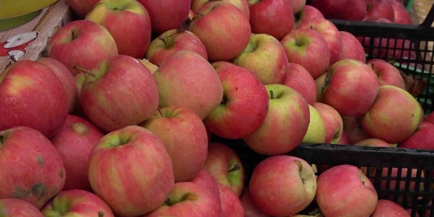 Amasya Misket Elması Tezgâhlarda Yok Satıyor.. Kilosu 150 TL!